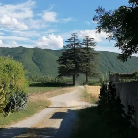 Aux 2 Cedres