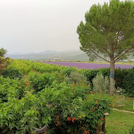 Aux 2 Cèdres L'Escale