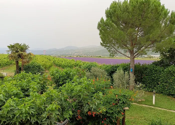 Aux 2 Cèdres L'Escale